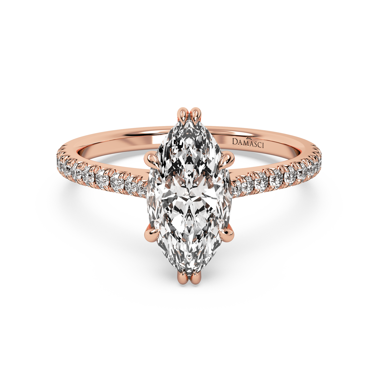 rose-marquise