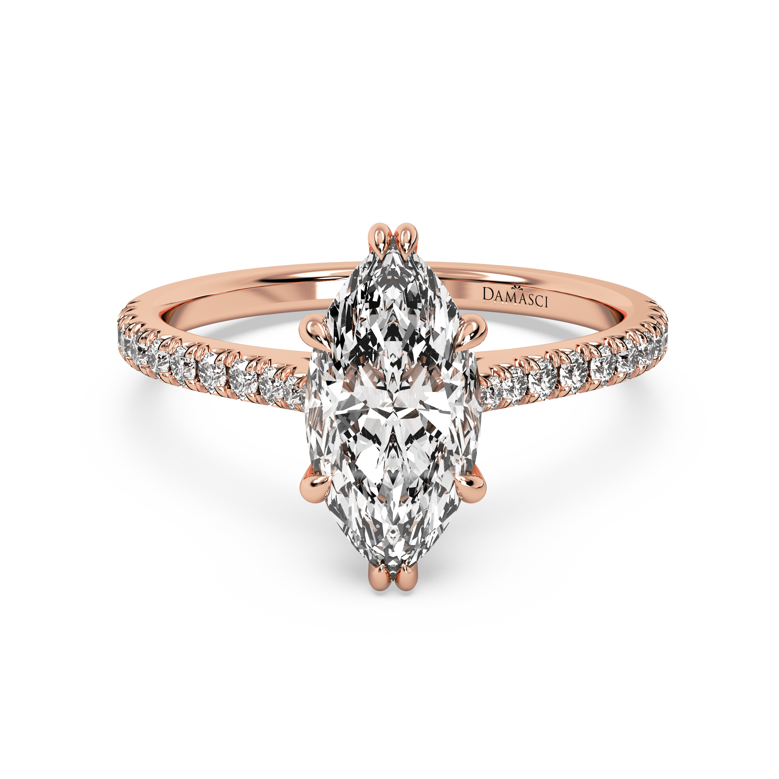 rose-marquise