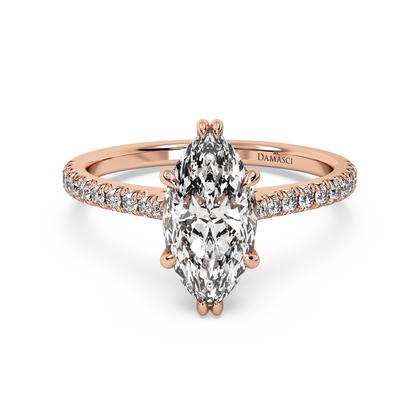 rose-marquise