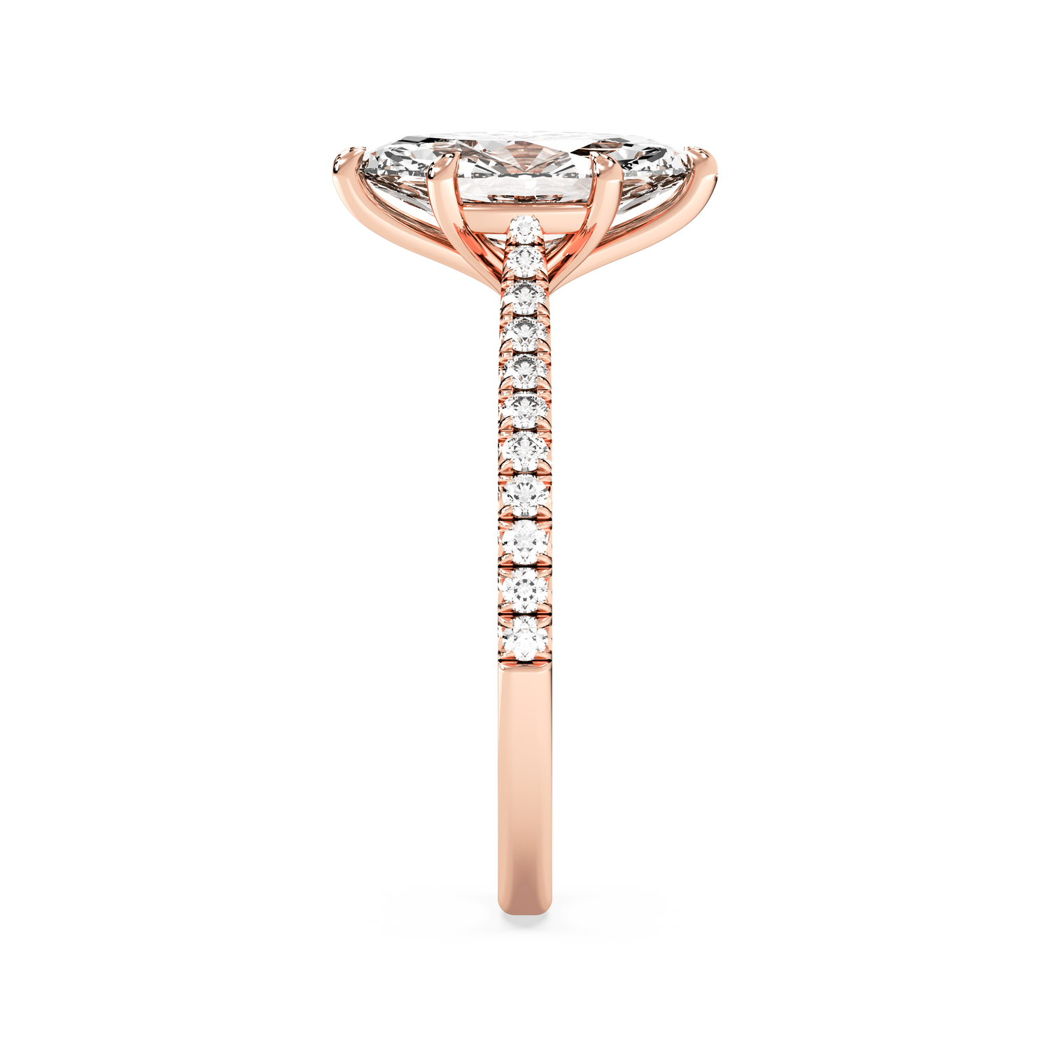 rose-marquise