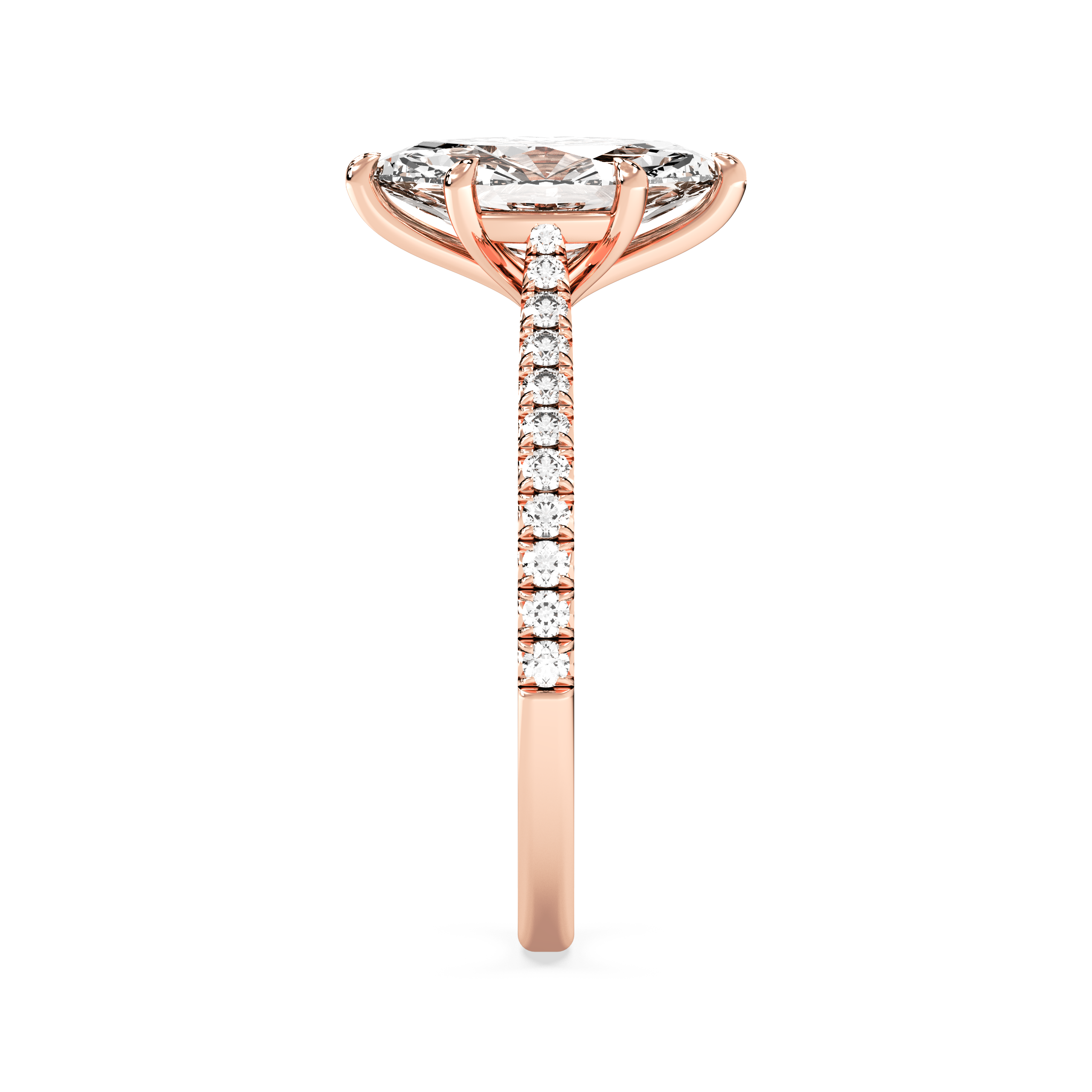 rose-marquise