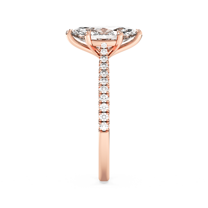 rose-marquise