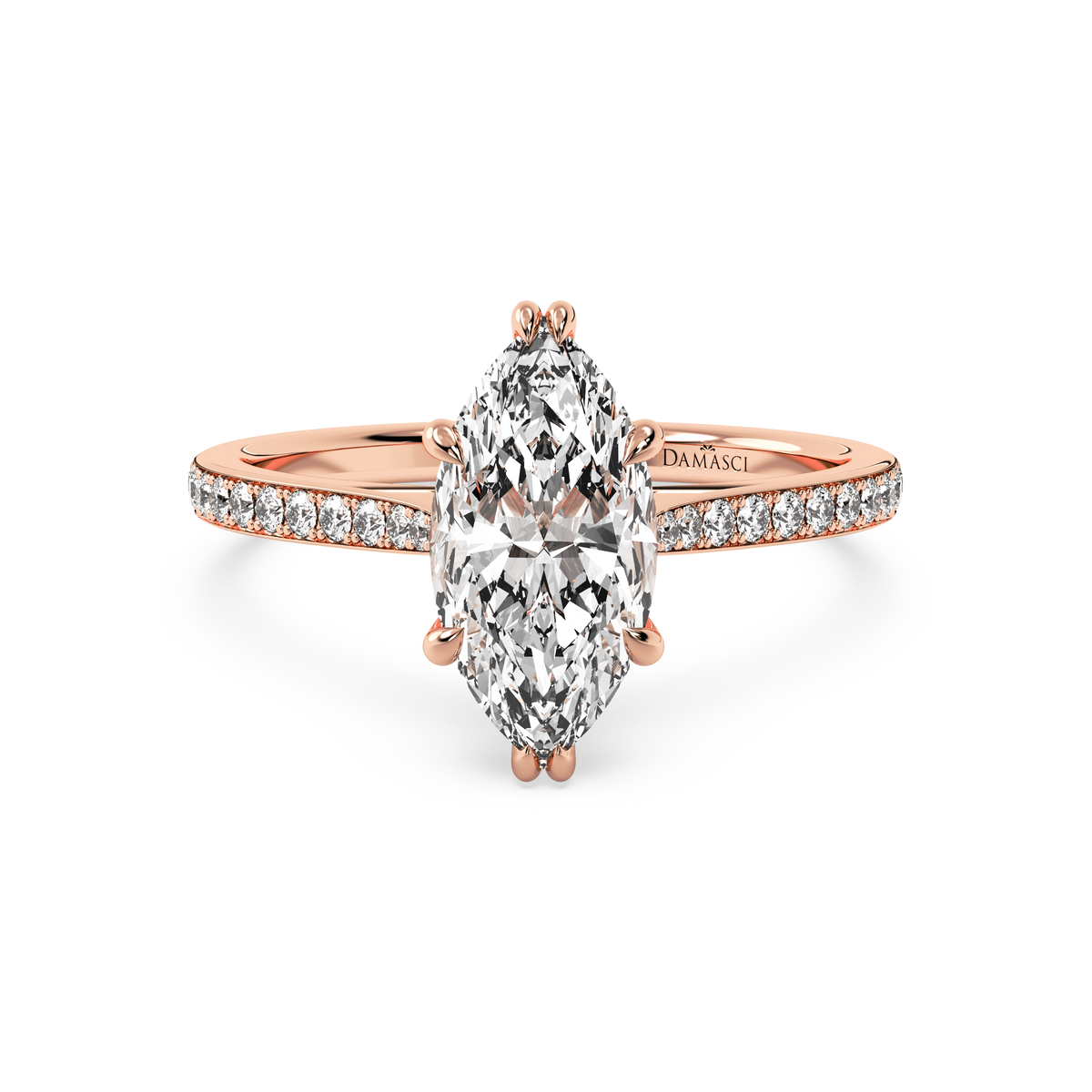 rose-marquise