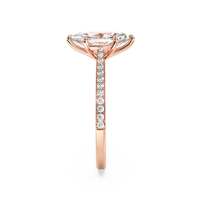 rose-marquise