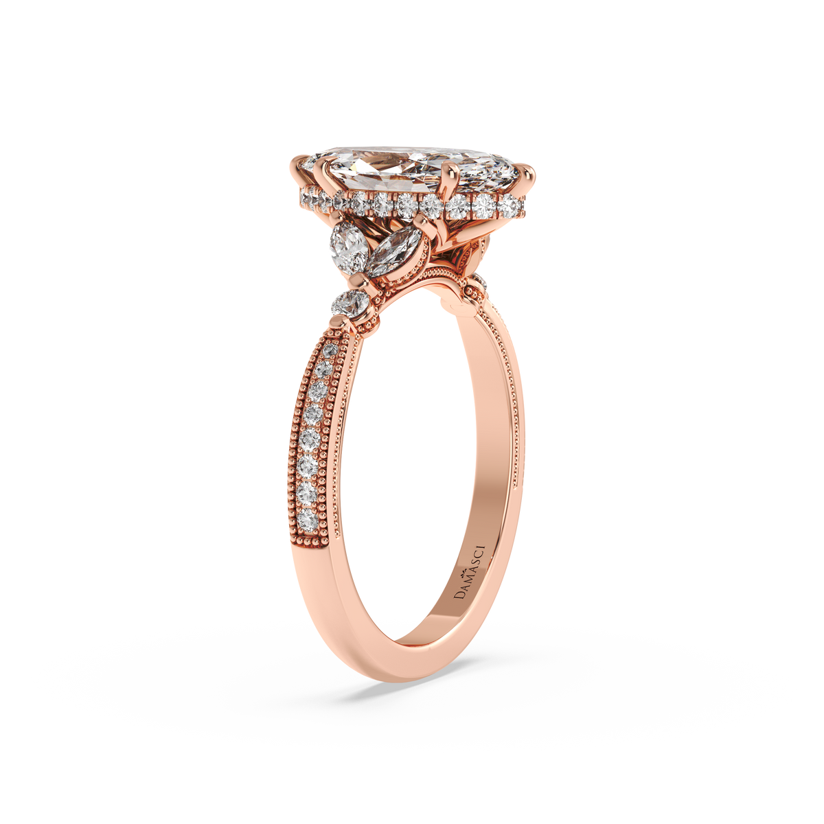 rose-marquise