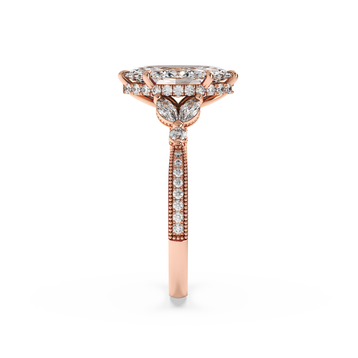 rose-marquise