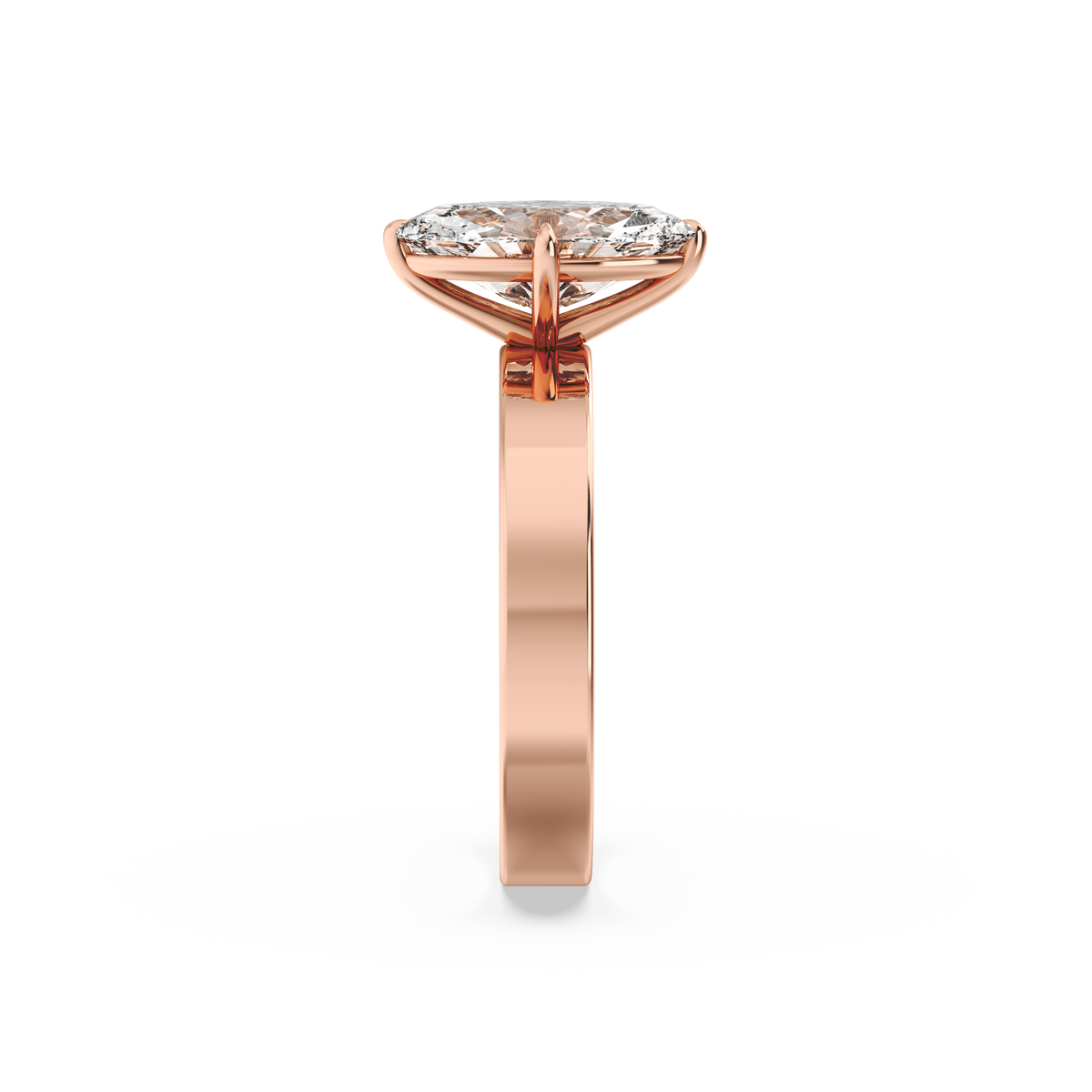 rose-marquise