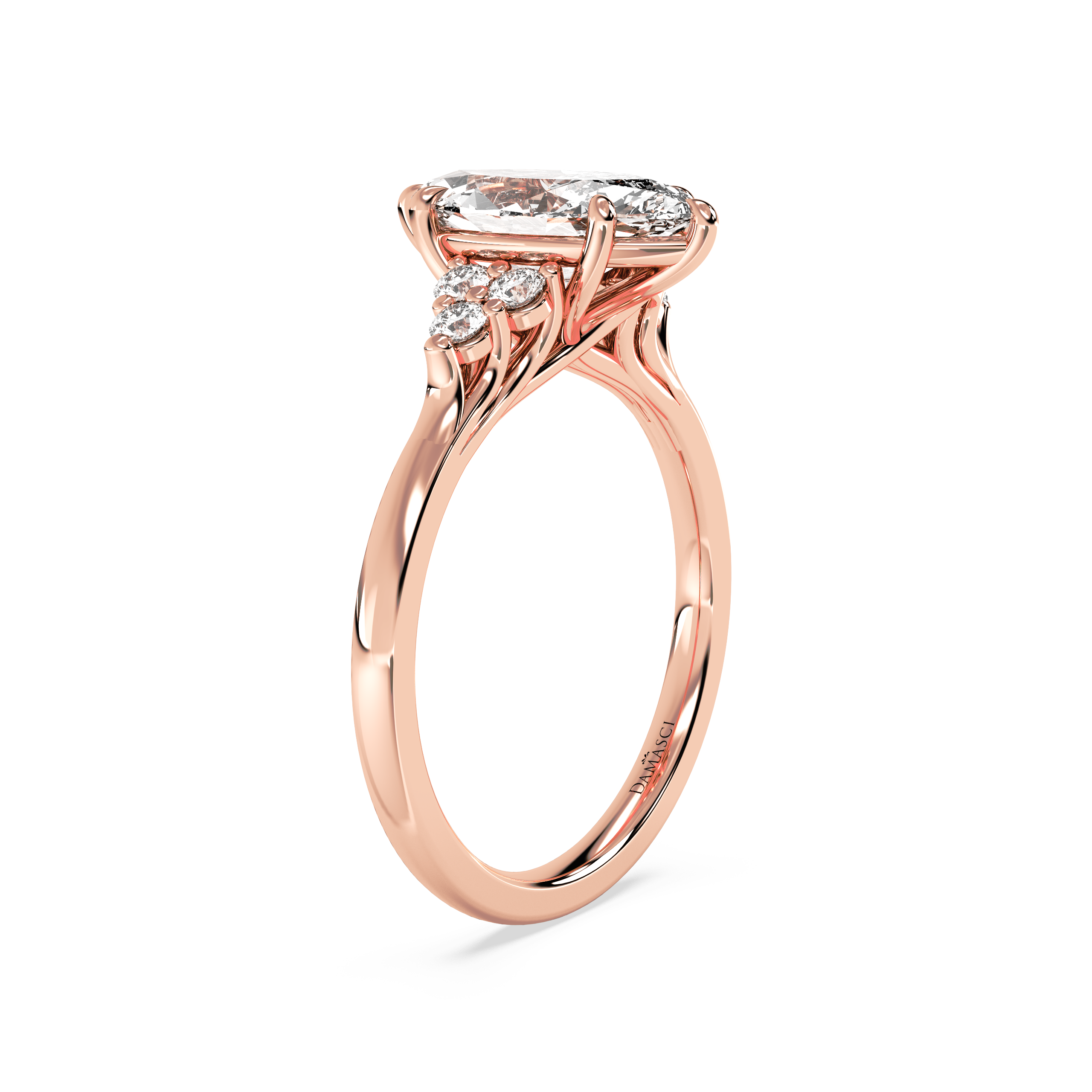 rose-marquise
