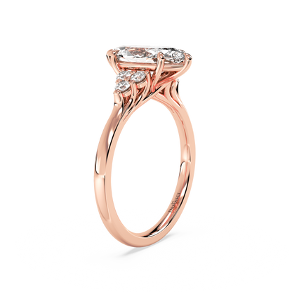rose-marquise