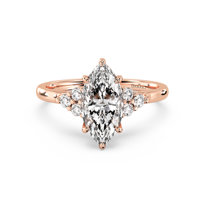 rose-marquise