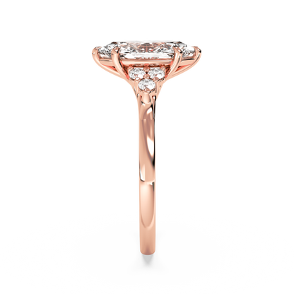 rose-marquise