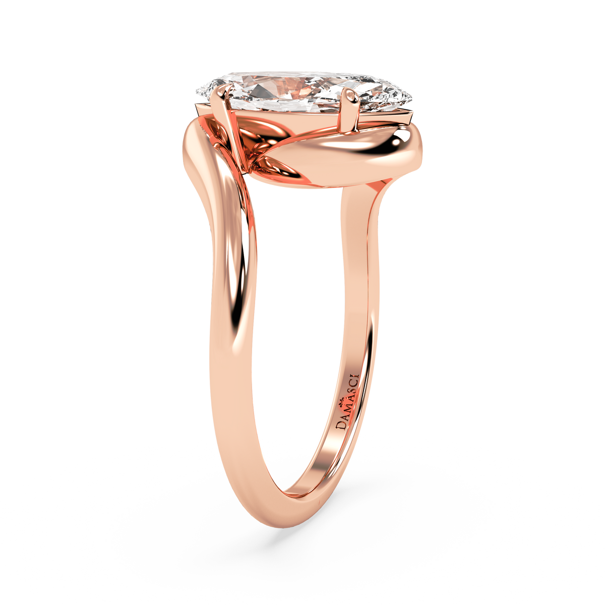 rose-marquise