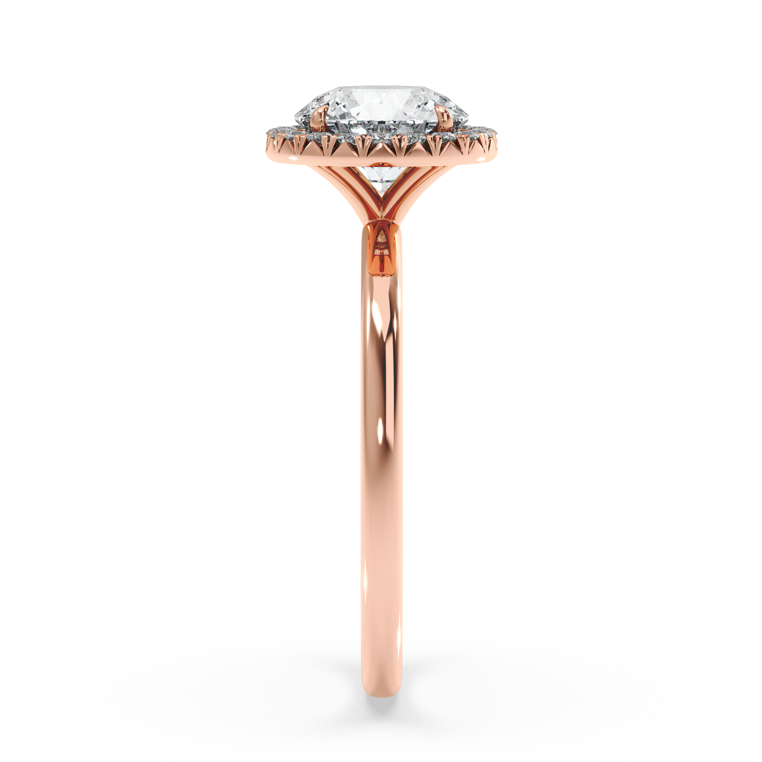 rose-round
