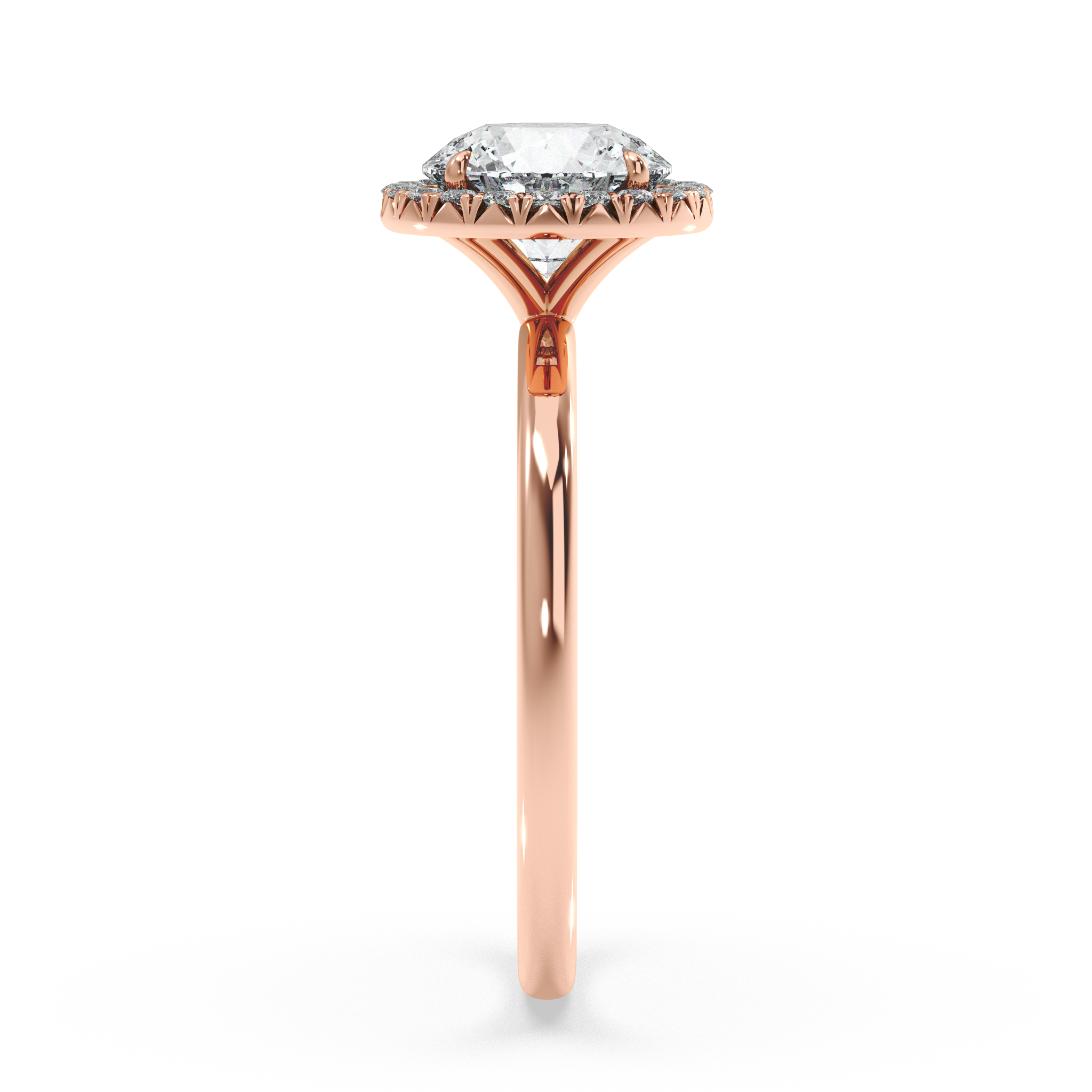 rose-round