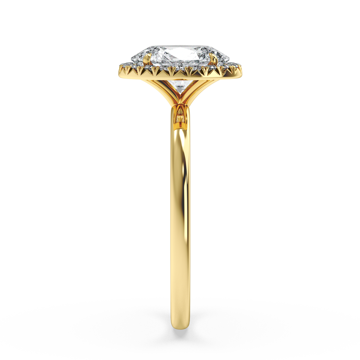 yellow-oval
