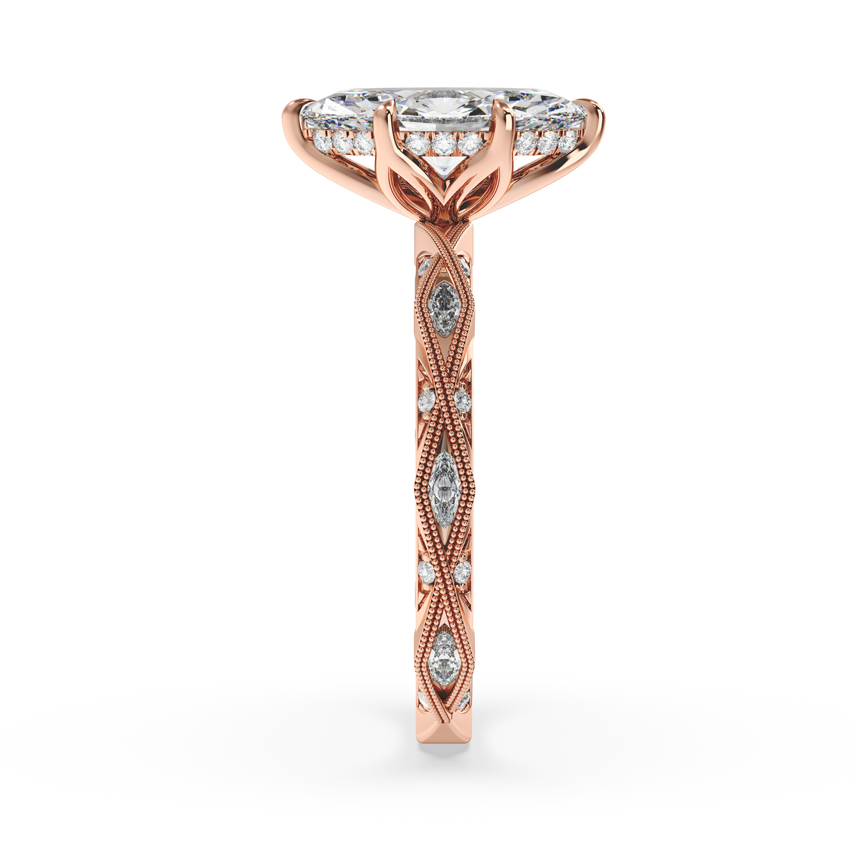 rose-marquise