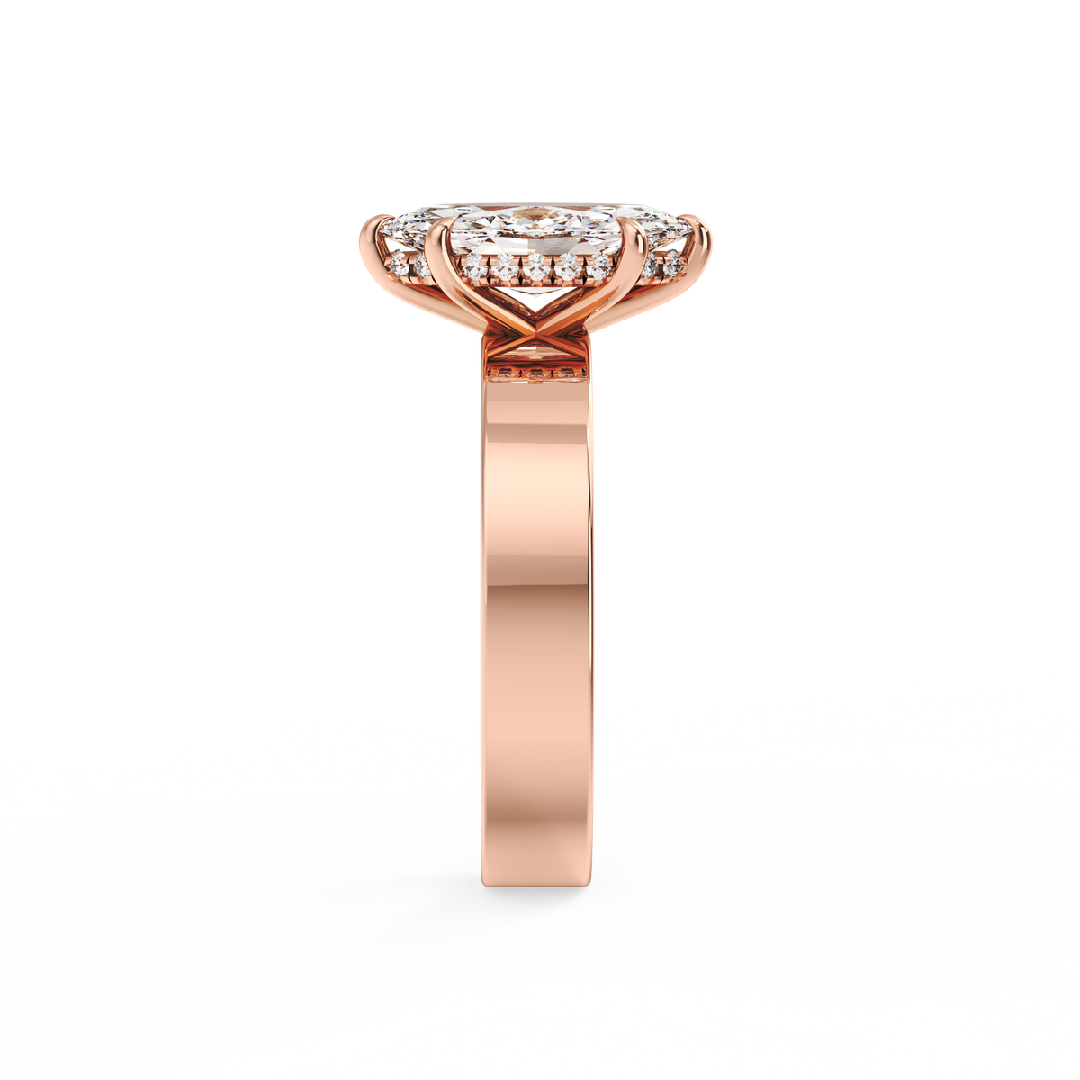 rose-marquise
