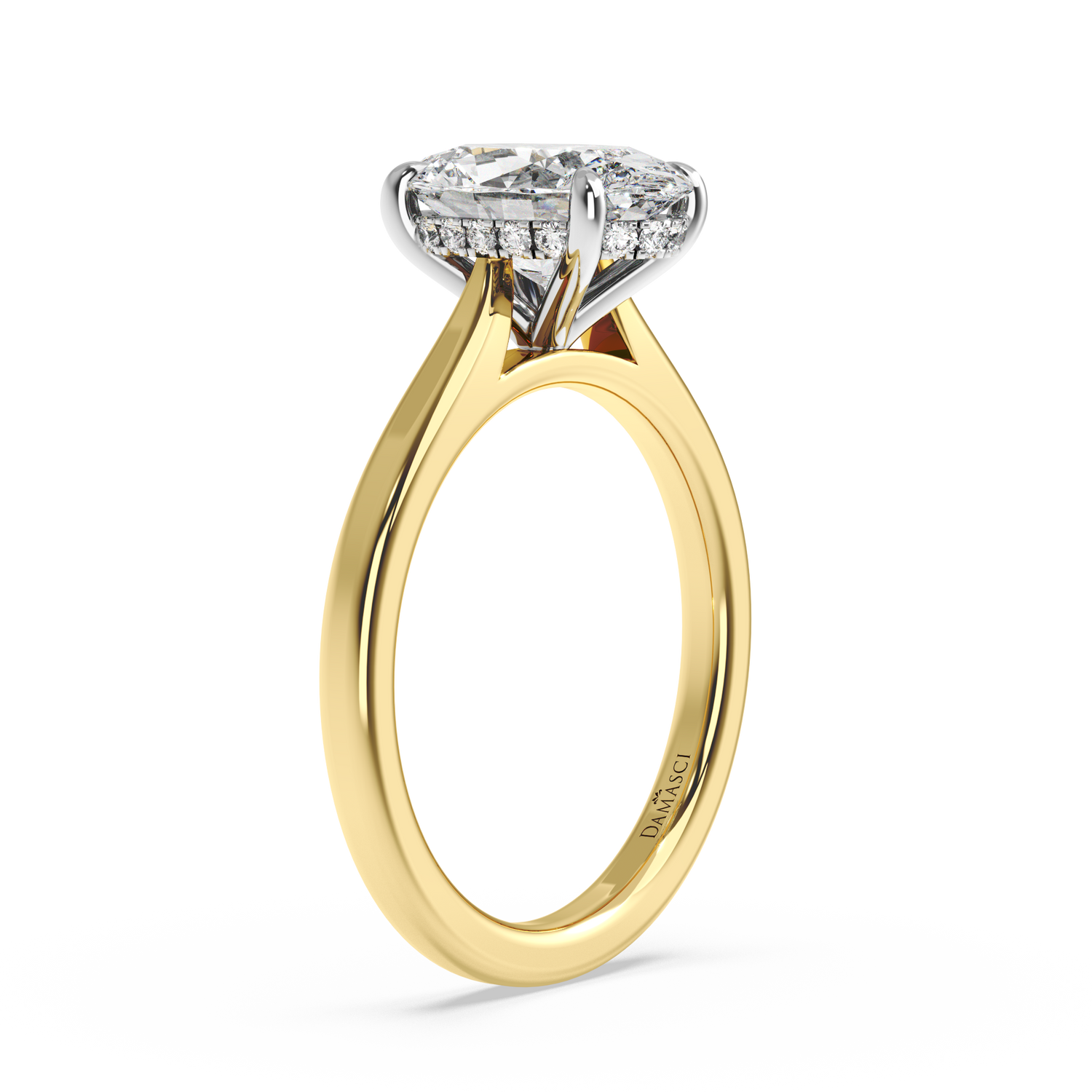 Cathedral Hidden Halo - Oval