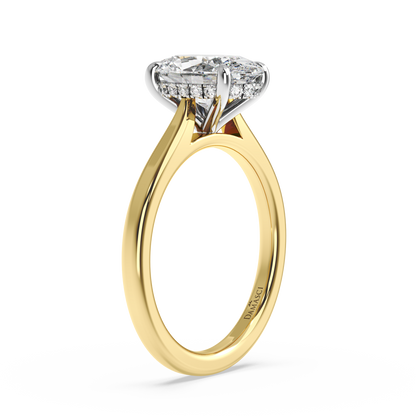 Cathedral Hidden Halo - Oval