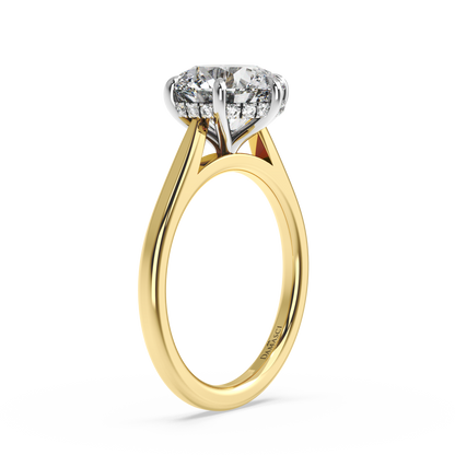 Six-Prong Hidden Halo Cathedral Ring - Round