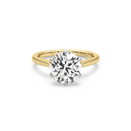 Six-Prong Hidden Halo Cathedral Ring - Round