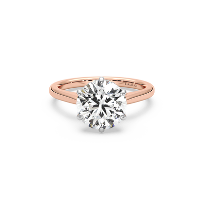 Six-Prong Hidden Halo Cathedral Ring - Round