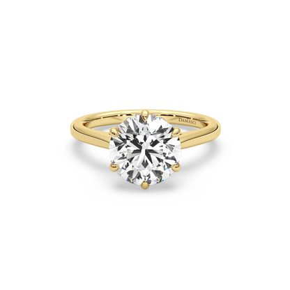 Six-Prong Hidden Halo Cathedral Ring - Round