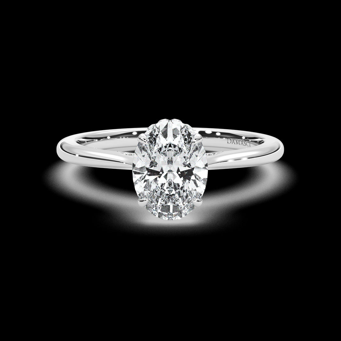 Hidden Halo Elevated Ring with Diamond Bridge - Oval