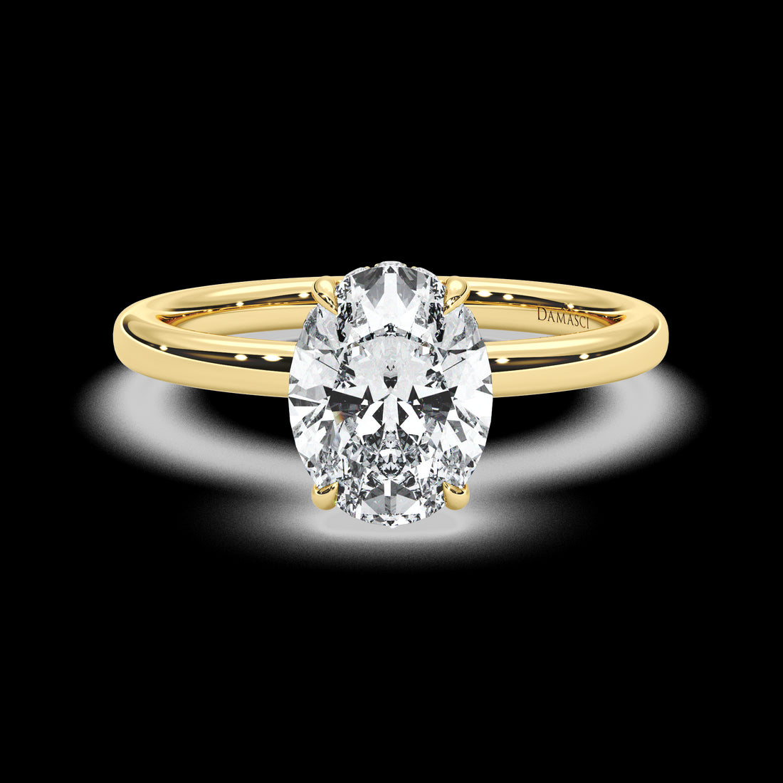 Discrete Hidden Halo with Simple Band - Oval