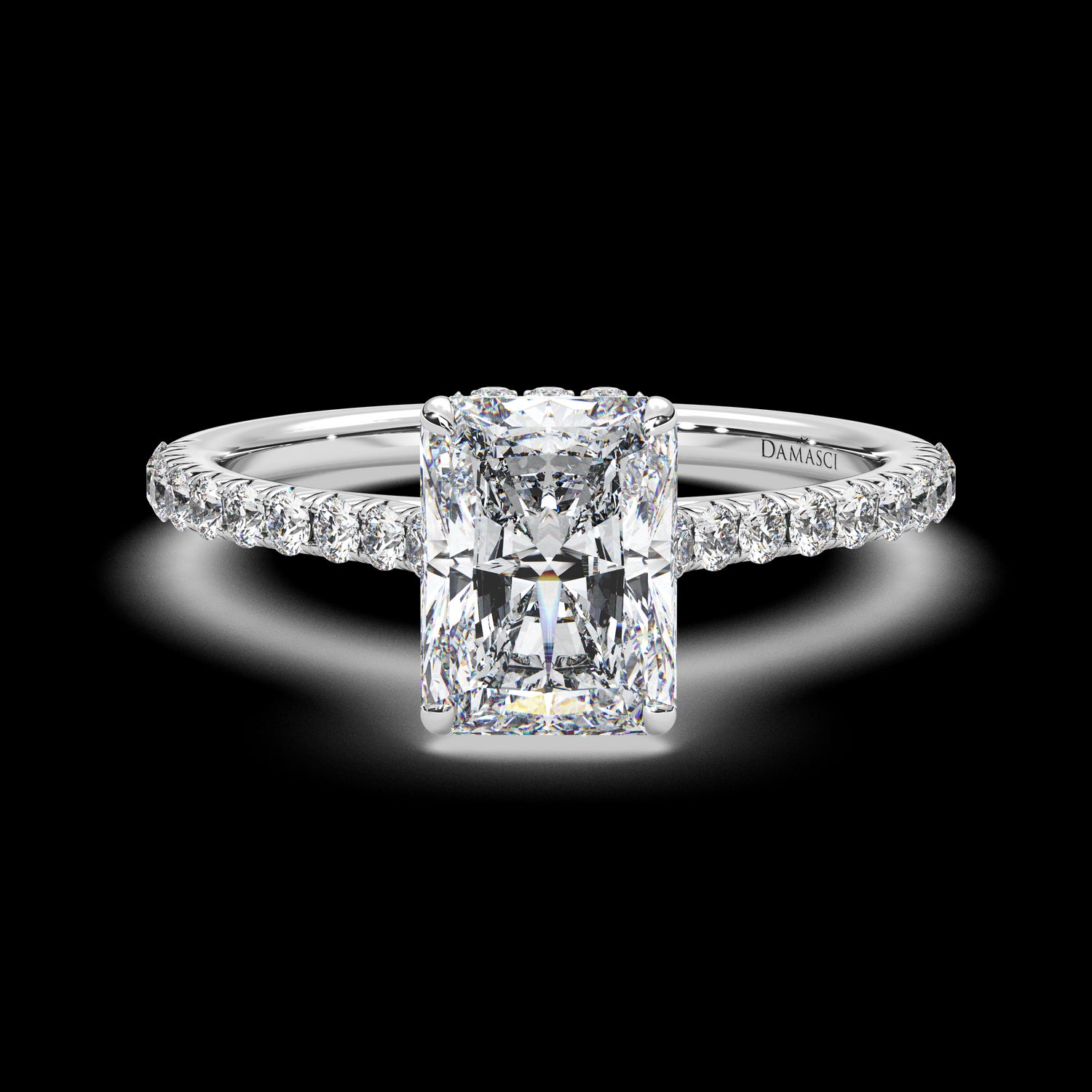 Hidden Halo with Elevated Diamond Band