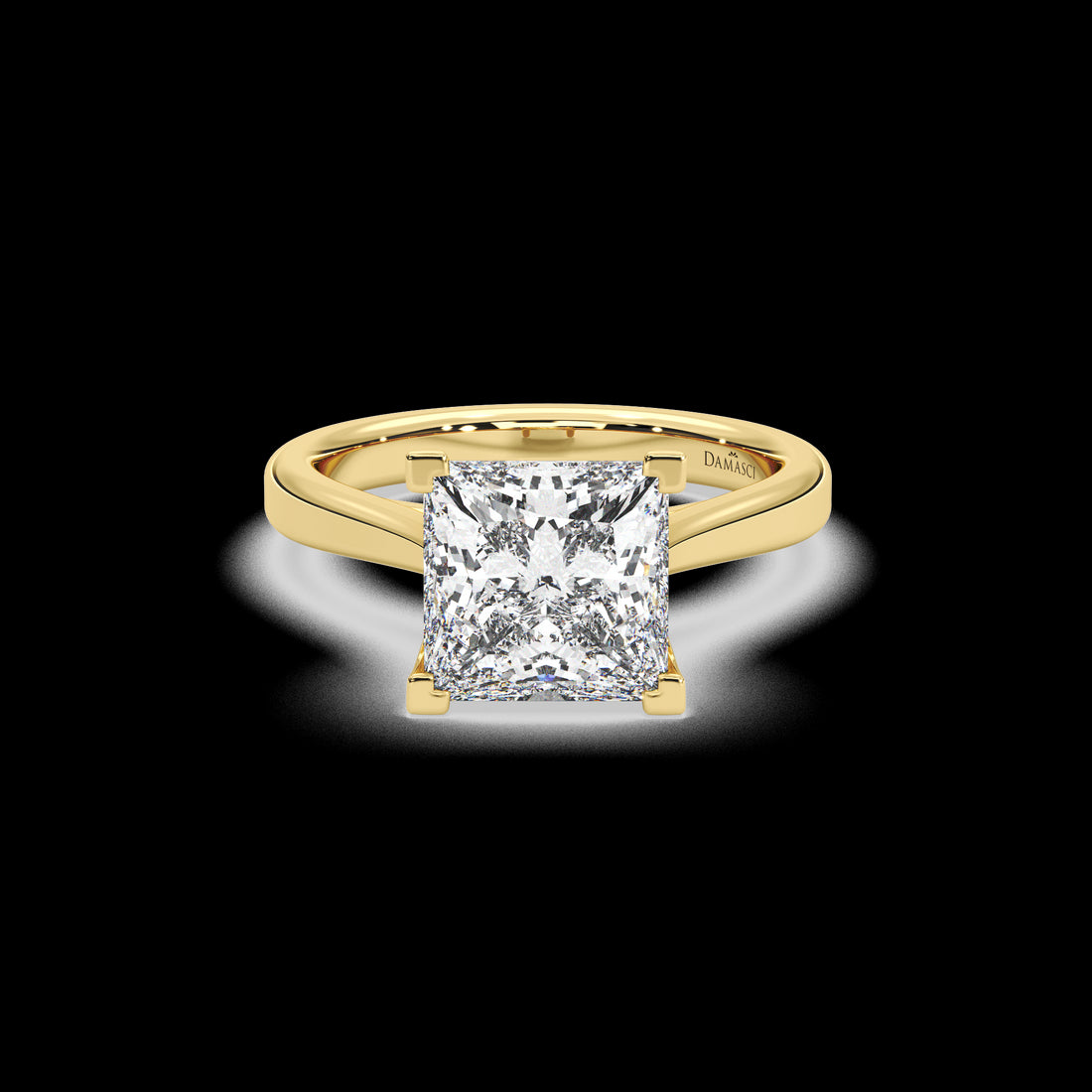 Modern Overlap Cathedral Ring - Princess