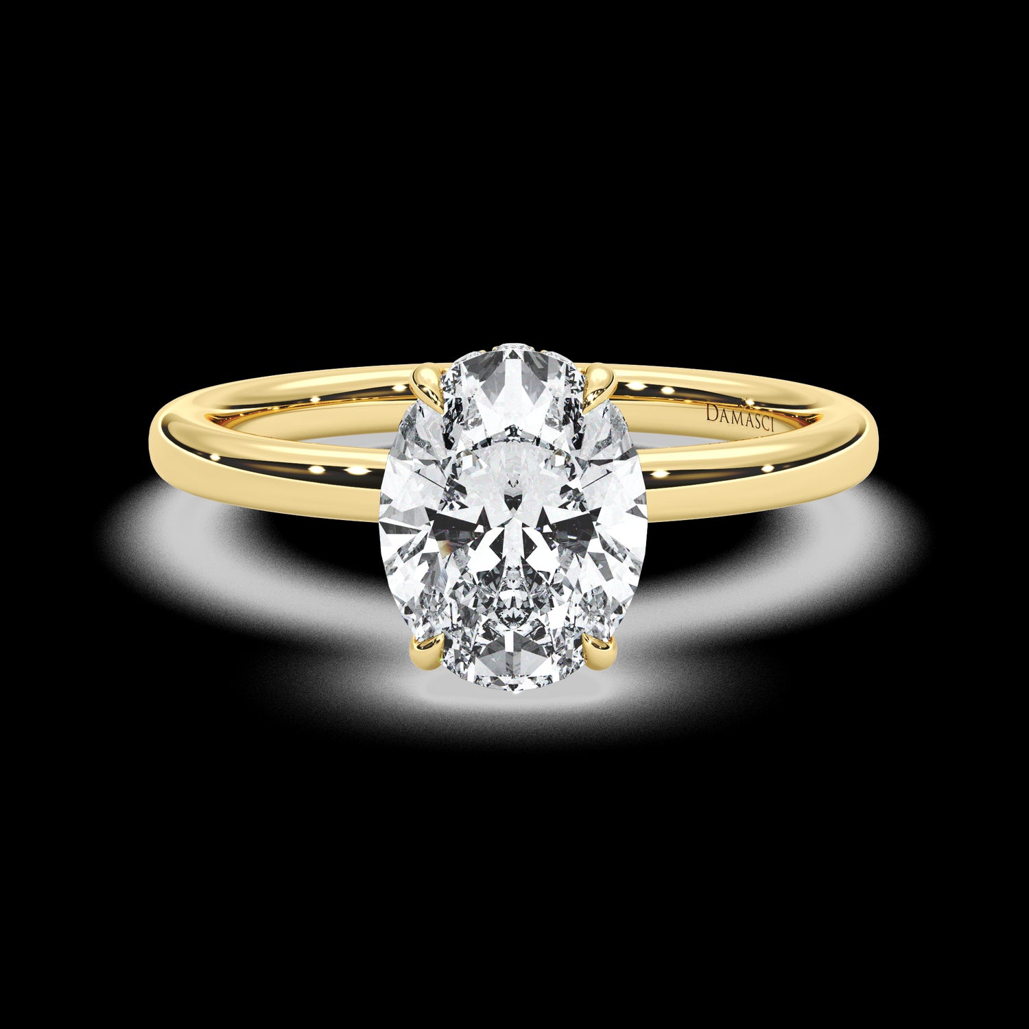 Discrete Hidden Halo with Simple Band - Oval