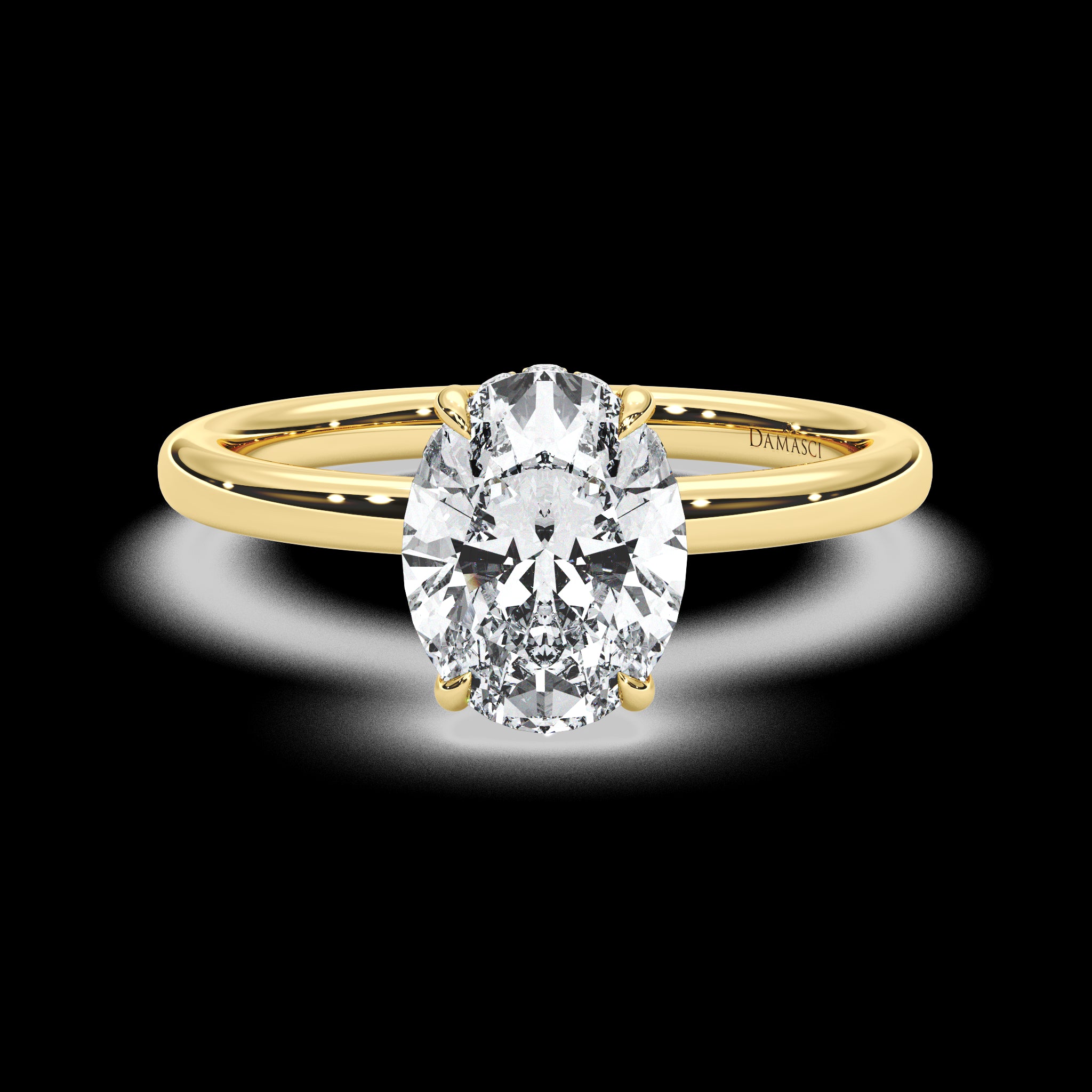 Discrete Hidden Halo with Simple Band - Oval